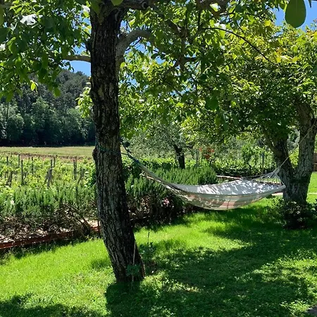 I Ligustri Bed & Breakfast Lucca