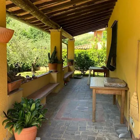 Bed & Breakfast I Ligustri *